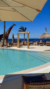 One of the lushest beach clubs we’ve ever stepped into — pure vibes from start to finish. 😍🌴☀️ 📍 Las Rocas Beach Club, Costa Adeje 🇪🇸 🎥 caratravldn #LasRocasBeachClub #CostaAdeje #Tenerife #TenerifeBeaches #BeachClubVibes #travelreels | Repeat Tenerife