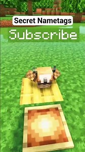 Secret Nametag Uses in Minecraft With Creative Illusions and Smart Design