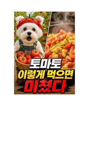 “농장 알바가 알려준 토마토 비밀”#강아지쇼츠 #토마토효능#강아지인터뷰