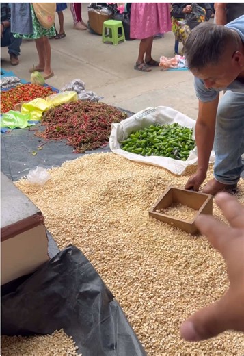 Delicioso cuartillo de maíz a solo $50 en Veracruz