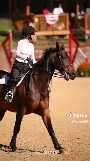 Who’s excited for uset videos this week??