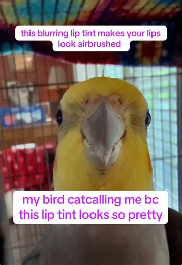 even the bird approves thank you @Colorgram US #bird #makeup #lipstain #lipstick #giftidea