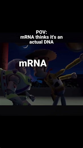 DNA makes RNA #sciencehumor #toystory #memes #biology