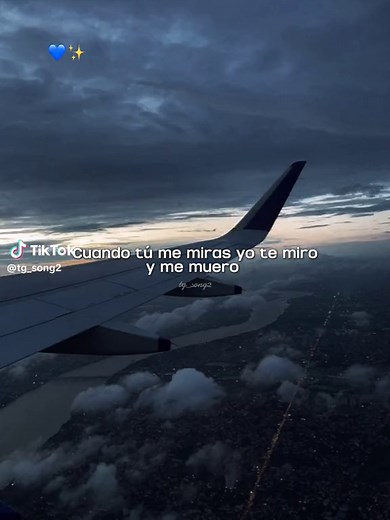 Por fin te encontré 💙 #canciones #con #letras #tiktok #lyrics #music #paratii #viral #sebastianyatra #caliyeldandee