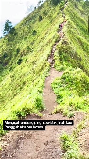 Menjelajahi Gunung Andong: Pengalaman Pendaki Pemula