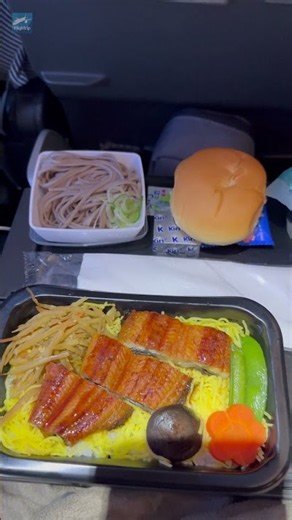Singapore Airlines SQ671 In-flight meal | #shorts #singaporeairlines