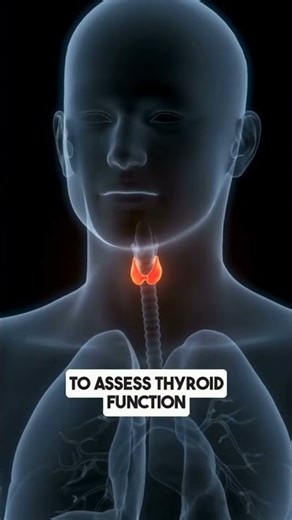 Feeling tired, experiencing weight changes, or other unusual symptoms?