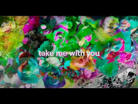 OK Go - Take Me with You (Official Visualizer by David McLeod)