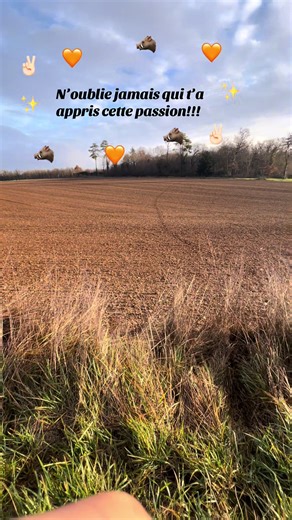 La chasse au chien courant #chassetricolore #chassechienscourants