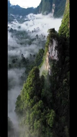 The Amazon Jungle: The Rainforest That Makes Its Own Weather #waterfall #amazonjunglekarahasya