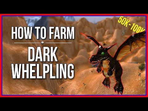 How to Farm Dark Whelpling Battle Pet | 50k-100k