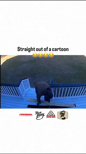 He took himself out 😂🤣😂 . . . . . . . . . . . #fyp #foryou #haha #funny #reels #tailorbeats #beats #dont #streetwear #cartoon #board #hit #himself #damn | Ariginal Music