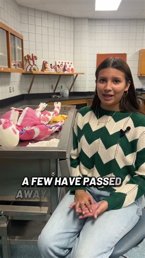 Future radiologist Valeria Cordova will graduate HS with multiple college credentials at only 16.