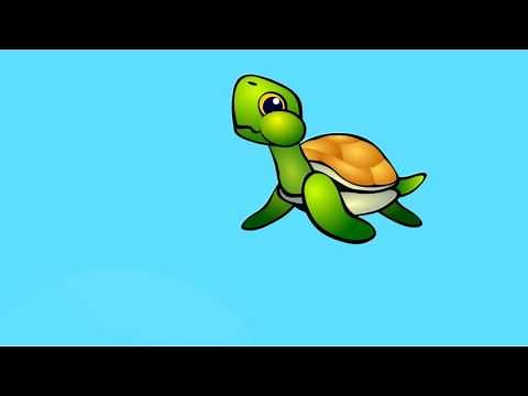 Doodle Baby - The Turtle