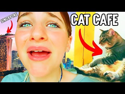 NAZ WENT TO CAT CAFE, LOST HER SISTER & SURPRISED HER SIBLINGS IN SINGAPORE w/The Norris Nuts