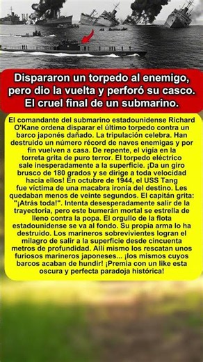 Pulsaron el botón y vieron cómo el proyectil regresaba hacia ellos. El error que hundió a la flota.