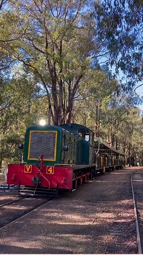 461K views · 2.8K reactions | Full steam ahead into the forest — all...