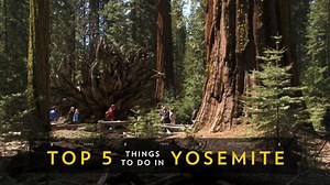 Everything you should know about Yosemite National Park