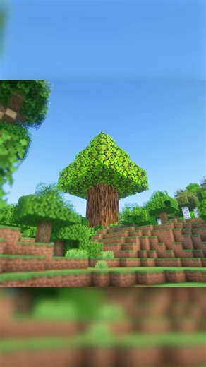 【マイクラ】森の中を歩くと巨大な木が…