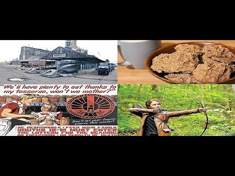 The Economy Of Panem Explained | The Hunger Games Lore