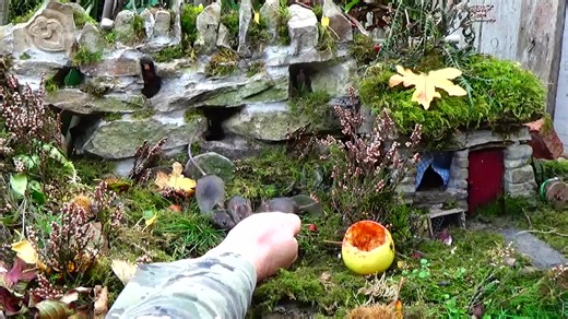 28K views · 3.7K reactions | OMG the baby's got on my hand and I got to feel those tiny hands and fluffy belly's . the joy you get from helping wildlife and gaining their trust to a point they will sit on your hand is unreal .. | George the Mouse in a log pile house | Facebook
