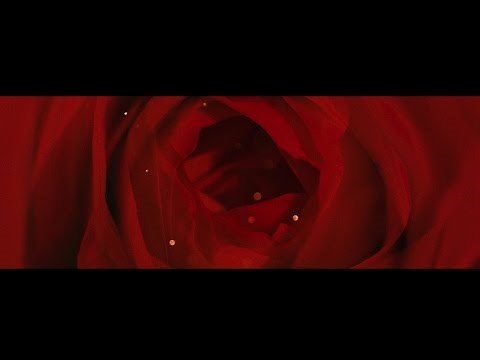 CECA - Netacan odgovor (Official) 2016