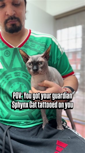 Custom Sphynx Cat Tattoo with Egyptian Armor