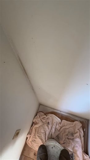 🎃 “Boo! … it’s BEES.” Pulled back the drywall and found this burly hive staring back at me. Spooky season hits different when the jump scare buzzes. 🐝👻 #BeeRemoval #BeeRescue #CharlieBeeCompany #CentralTexasBees #InsideTheBox #BeekeeperLife #SpookySeason #HalloweenVibes #BooItsBees #HoneyBees #BeesEverywhere #BeekeeperTok #BeeBoy #PBS #BeekeeperProblems #BuzzingBehindTheWall | Charlie Bee Company