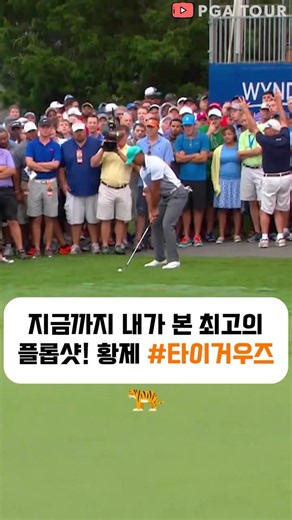 지금까지 내가 본 최고의 플롭샷! 황제 #타이거우즈 #골프 #golf #ゴルフ