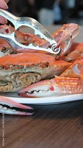 Stone crab cutter with seafood knives, shellfish knives made of aluminum and stainless steel, set Seafood Tools, Lobster, Crab, Cracker, Gadgets, Cooking Tools, Claws, Sheller. Kitchen Accessories