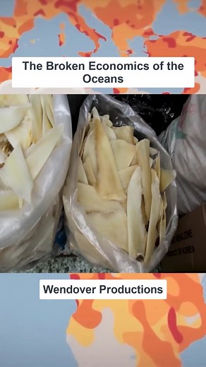 #currentexplanation #foryou #secret