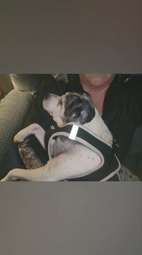 12 reactions · 5 comments | Kathy Strong Hershman on Reels | Facebook