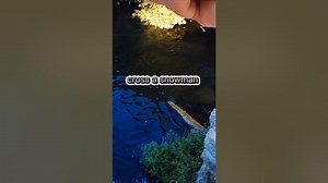 Fishing Joke 22 jokes fishingjokes humor