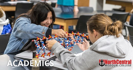 Criminal Justice (AAS) Online - Academics