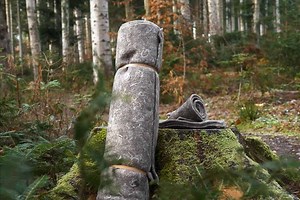 « 4 000 t de déchets capillaires par an », Capillum recycle les cheveux en paillage naturel pour le jardin