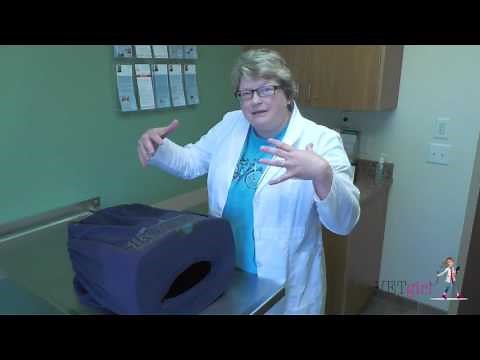 How to make a low-stress cat cave for your hospitalized feline patients | VETgirl