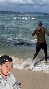 Mira nada más lo que sucedió en esta isla!😱😱 #mantaraya #animalesmarinos | Sebassalvaje1