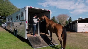 1.7K views · 315 reactions | If you struggle with trailer loading,...