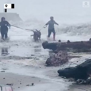 King Tides begin today and last throughout the weekend—stay vigilant! As you see in the featured video, a rogue wave comes blasting up the Gower St. beach entrance near Haystack Rock, chasing two people and their dogs. These sorts of waves have almost unimaginable power and can easily sweep people off their feet and out to sea—even strong swimmers! While unscientific, the term “King Tide" refers to an exceptionally high tide when compared to the average. Combined with a significant swell—which t