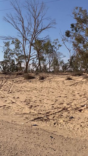 34K views · 991 reactions | The International Festival of the Sahara in Douz #tunisia #Douz #douziofficial #TunisiaDesertChallenge #traveltheworld #travelphotography #travel #desert #desertlife #DesertChallenge #sahara #saharadesert #hourse #chevelry #berber #arabic #culture #cultura #tunisia_pics #photography #photographer #photo | THE PLANET DISCOVERY | Facebook