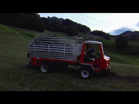 Reform Muli 50 im 2.Schnitt 2020