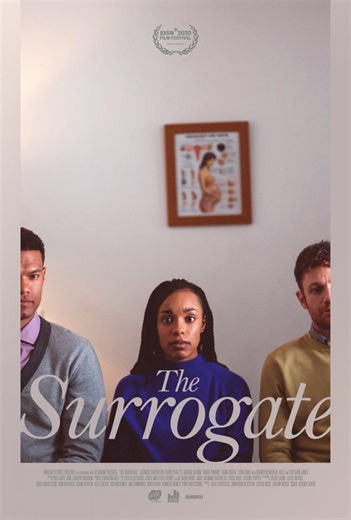 Videos - The Surrogate  (2020)