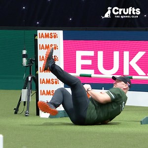 83K views · 599 reactions | That's how to do Super Saturday at Crufts  Join us tomorrow for more action from the world's greatest dog show, and to find out who will be crowned Crufts Best in Show 2025!  | Crufts | Facebook