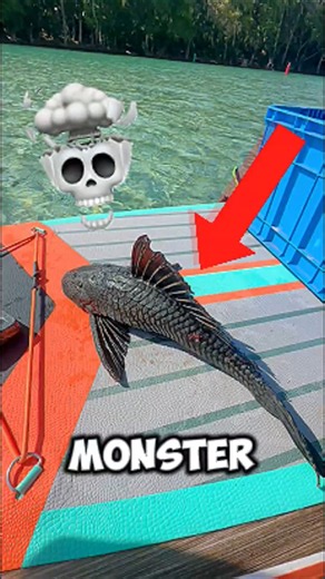 This Destructive Monster Fish is Ruining Entire River Ecosystems! 😳