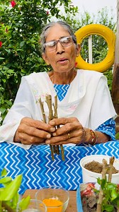 1.2M views · 31K reactions | Propagation of hibiscus/rose 1. Select a hardy branch and make a 6-7 inch cut at 45 degree angle with atleast 1 node. 2. Dip the end in haldi/ turmeric powder. 3. Soil mix should be 50% vermicompost and 50% sand. 4. For water propagation, simply dip the cuttings in water and change daily. 5. Roots should develop within 25 days. #harghargarden #garden #gardening #indiangarden #root #plant #plantbased #plantlover #plantpropagation | Kailash Vati | Facebook