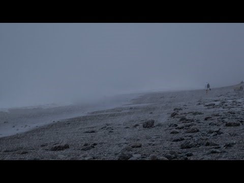 DRAKE - HONESTLY NEVERMIND INTRO (EXTENDED + LOOPED TO PERFECTION)