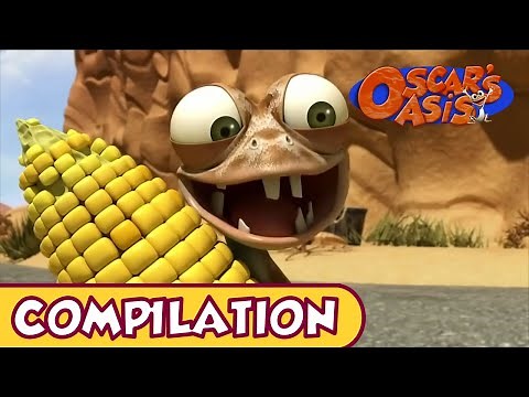 Oscar's Oasis - AUGUST COMPILATION [25 MINUTES]