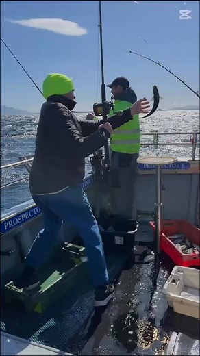 Peter Power on Reels