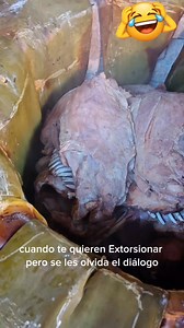 522K views · 4.3K reactions | Cuando te quieren Extorsionar pero se les olvida el diálogo | Barbacoa Don Gera | Facebook