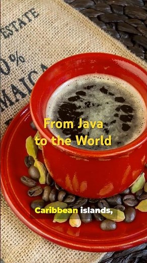 From Java to the World: Coffee’s Epic Journey - History of Coffee (Ep. 5)